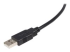 StarTech.com 3 m Certifierad USB 2.0 A- till B-kabel - Närbild